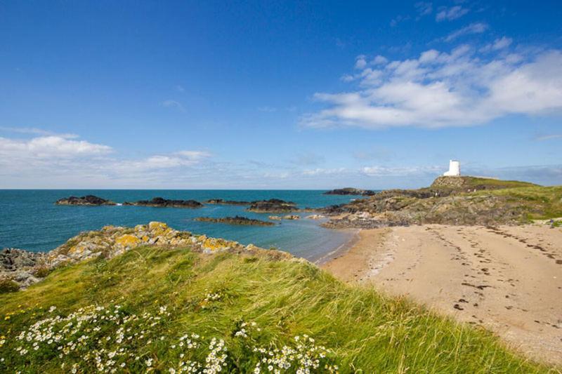 Cynefin-Three Bed Detached Bunglaow-Dog Friendly Villa Trearddur Eksteriør bilde